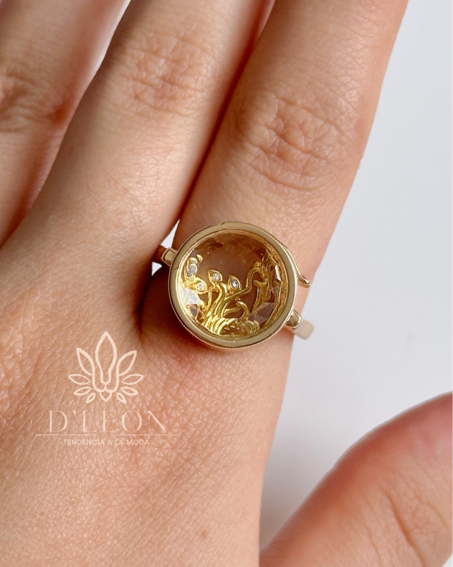 Anillo caja de cristal + 2 charms